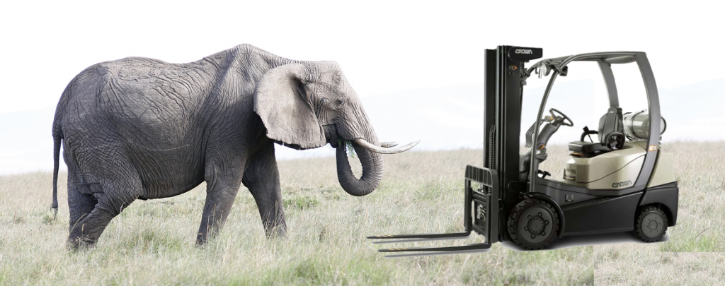 Compare weight of elephant and forklift