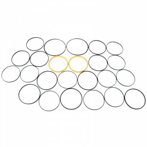 GENIE 75466GT AND 75466 SEAL KIT - SWIVEL
