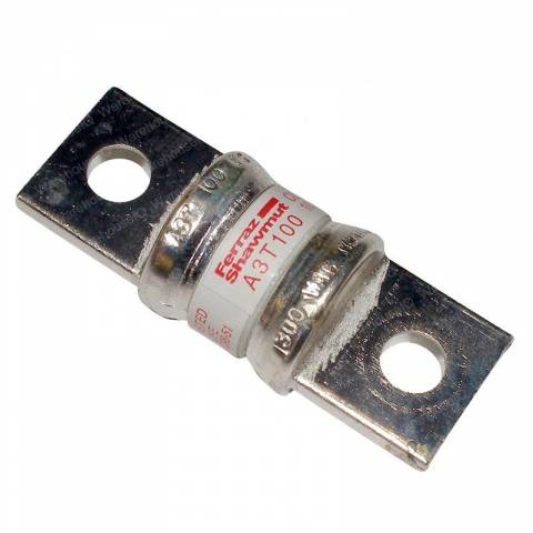 RAYMOND 590-534/004 FUSE - 100 AMP