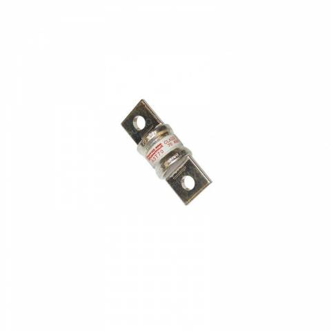 RAYMOND DS224216 FUSE - 70 AMP